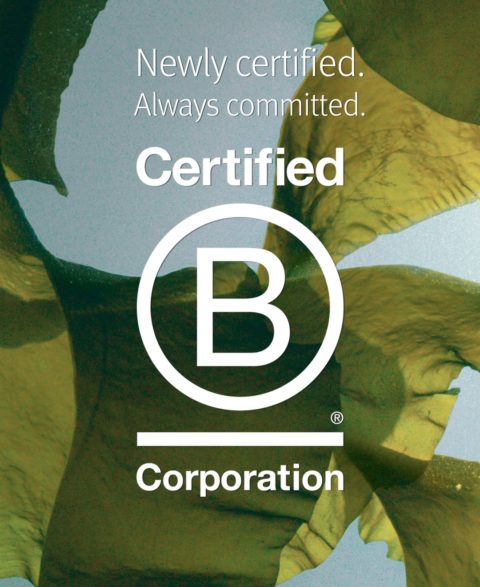 B Corp status update